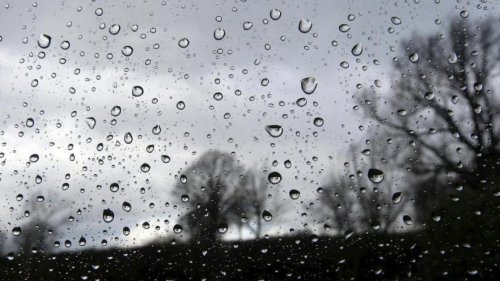 Sécheresse: pourquoi le retour de la pluie n’est pas forcément une bonne nouvelle