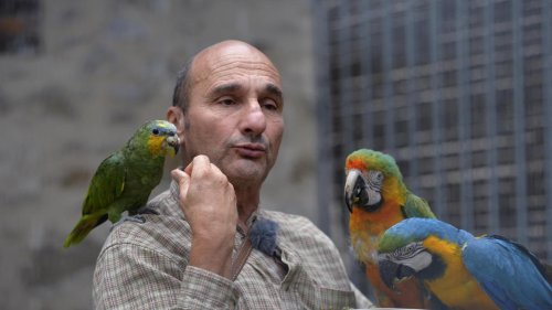 Le dresseur d’animaux Pierre Cadéac va porter plainte contre Hugo Clément pour diffamation (vidéo)