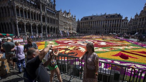 Bruxelles: le tapis de fleurs de retour sur la Grand-Place, jusqu’à quand peut-on en profiter?