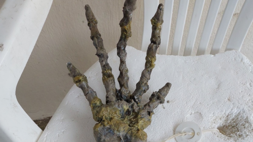 Une «main alien» retrouvée sur une plage au Brésil (photos et vidéos)
