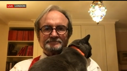 Un expert de la BBC se fait toujours interrompre par ses chats en plein direct (vidéo)