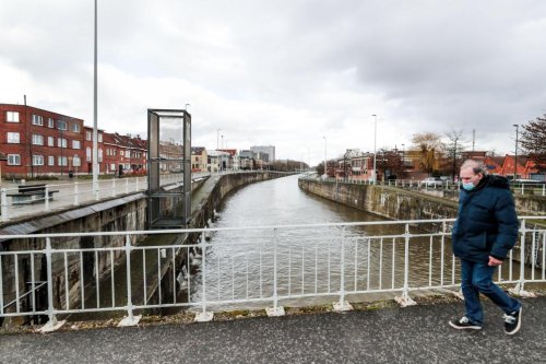 Bruxelles: voici pourquoi des poissons morts flottent à la surface du canal