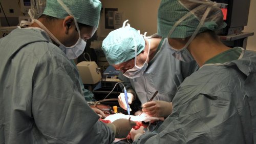 Plus de 1.500 Belges attendent un don d’organe