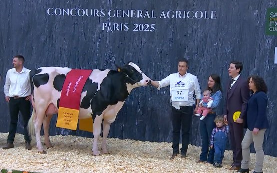 Ces vaches de Bretagne ont tout raflé au salon de l’agriculture
