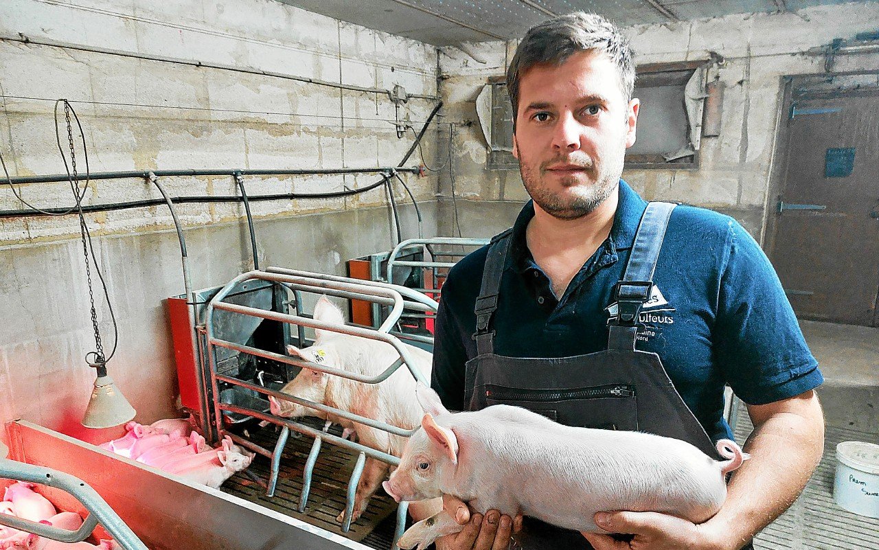 Avec le prix du porc qui baisse « des élevages sont déjà en difficulté » : ce jeune agriculteur breton en appelle à l’unité