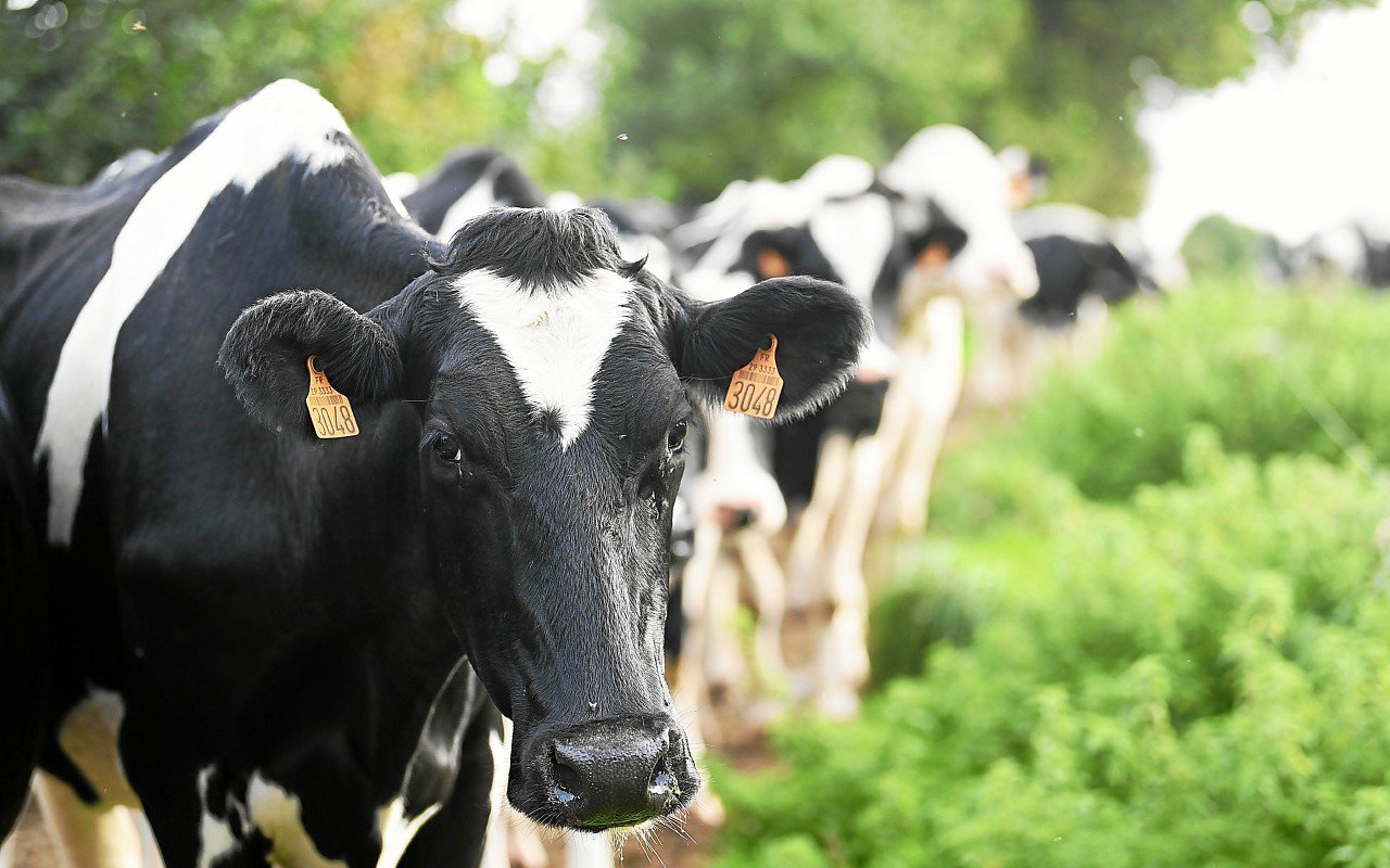 « On ne peut pas s’en satisfaire » : nouveau rebondissement dans la reprise polémique d’une ferme bio en Bretagne