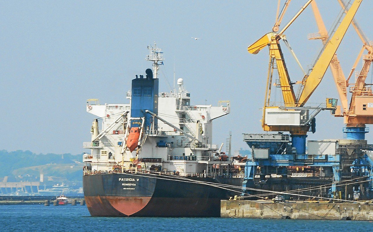 Volailles de chair : demande d’un report de l’arrêt du soja issu de la déforestation