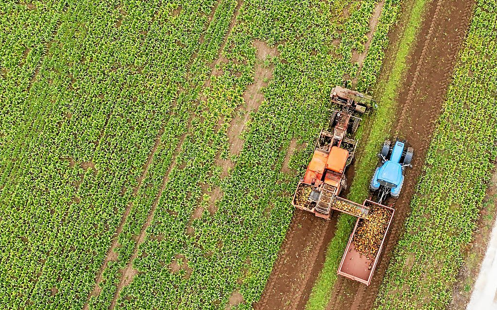 Loi Duplomb : députés et sénateurs trouvent un compromis incluant la réintroduction d’un pesticide