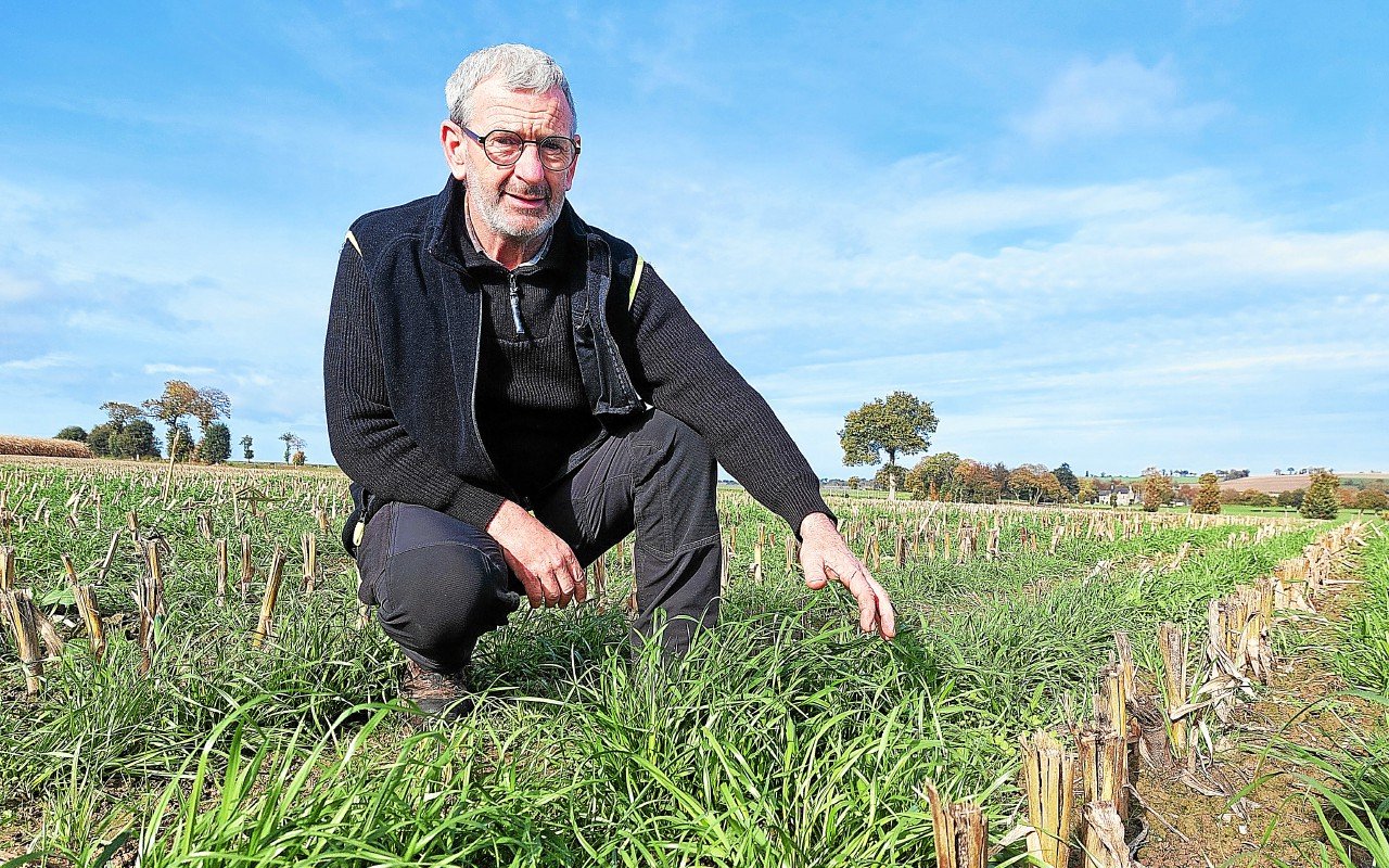 Comment le Réseau Agrobio pousse les agriculteurs conventionnels à opter pour le désherbage mécanique