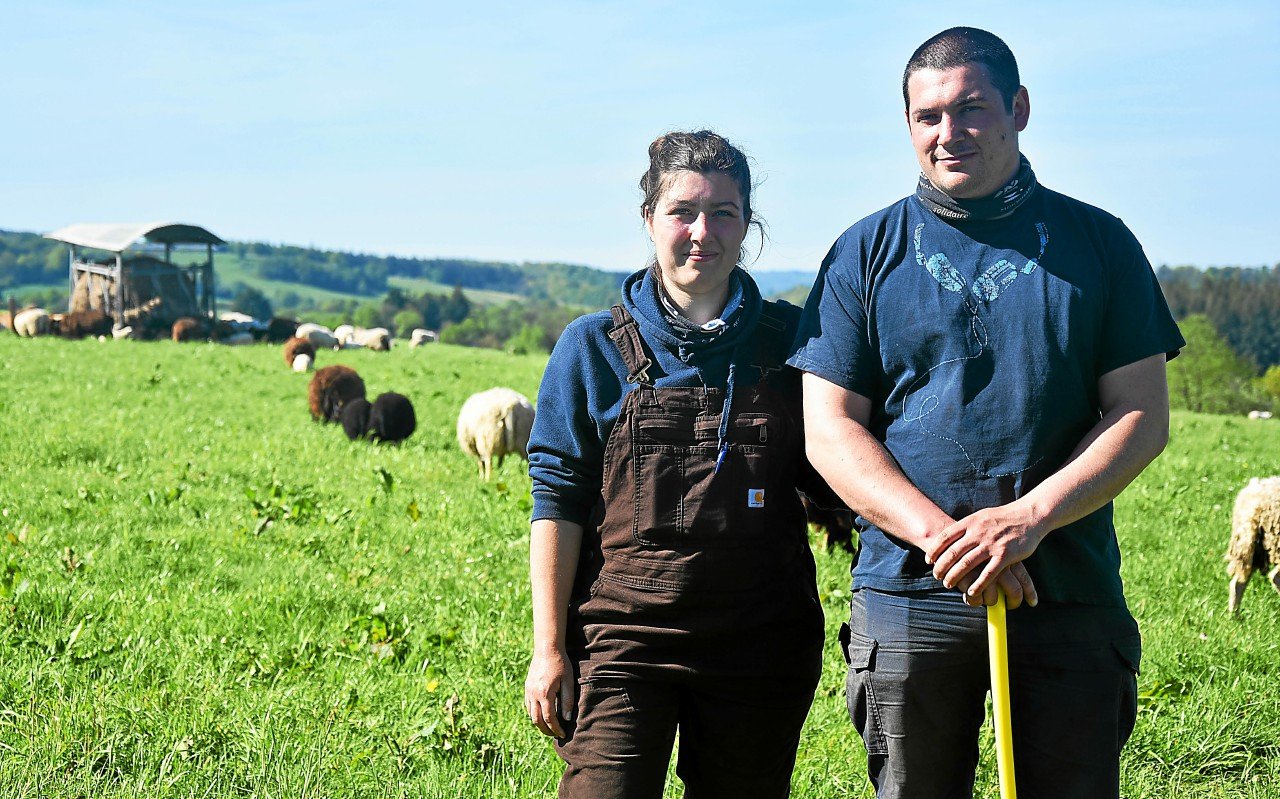 À Langonnet, deux jeunes éleveurs lancent leur ferme ovine grâce à l’épargne citoyenne