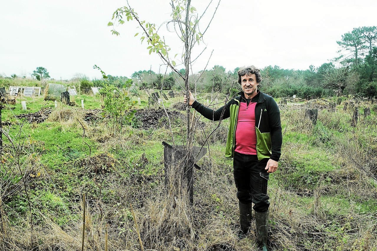 Agroforesterie : Renaud de la Pinta veut développer son Jardin d’Avalon à Erdeven