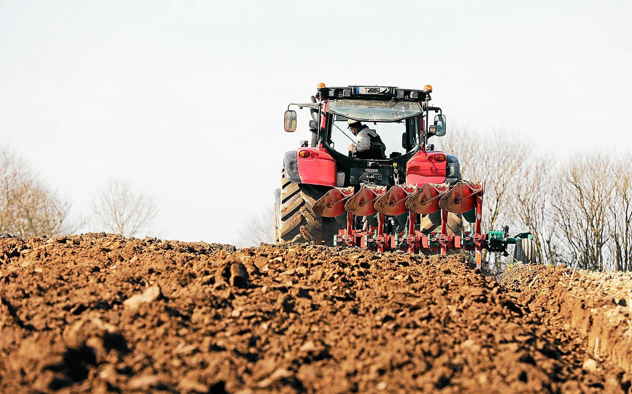 Agriculture : plus de femmes que d’hommes sous le seuil de pauvreté