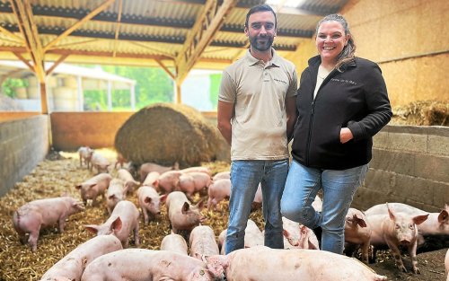 30 ans de porcs sur paille à la ferme de La Mare à La Poterie, où l’heure de la relève a sonné