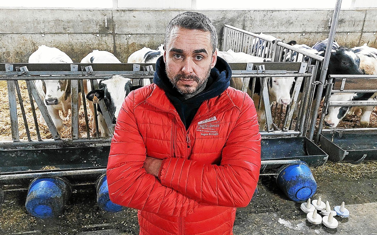 « Cette situation est stressante pour tous les éleveurs » : comment la filière bovine bretonne réagit à la crise sanitaire en cours