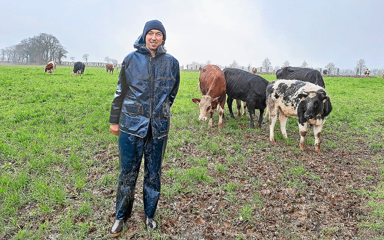 « Le soja est importé du Brésil alors que l’herbe est sous les sabots de mes vaches » : à Maël-Carhaix, David donne de l’herbe à ses vaches et des haies à ses champs