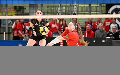 Nouveau duel à distance entre le Quimper Volley et Cannes pour le maintien en Ligue A féminine ce week-end