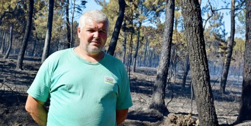 Incendies dans le Morbihan : cet agriculteur qui a perdu 35 de ses 40 hectares de pâtures