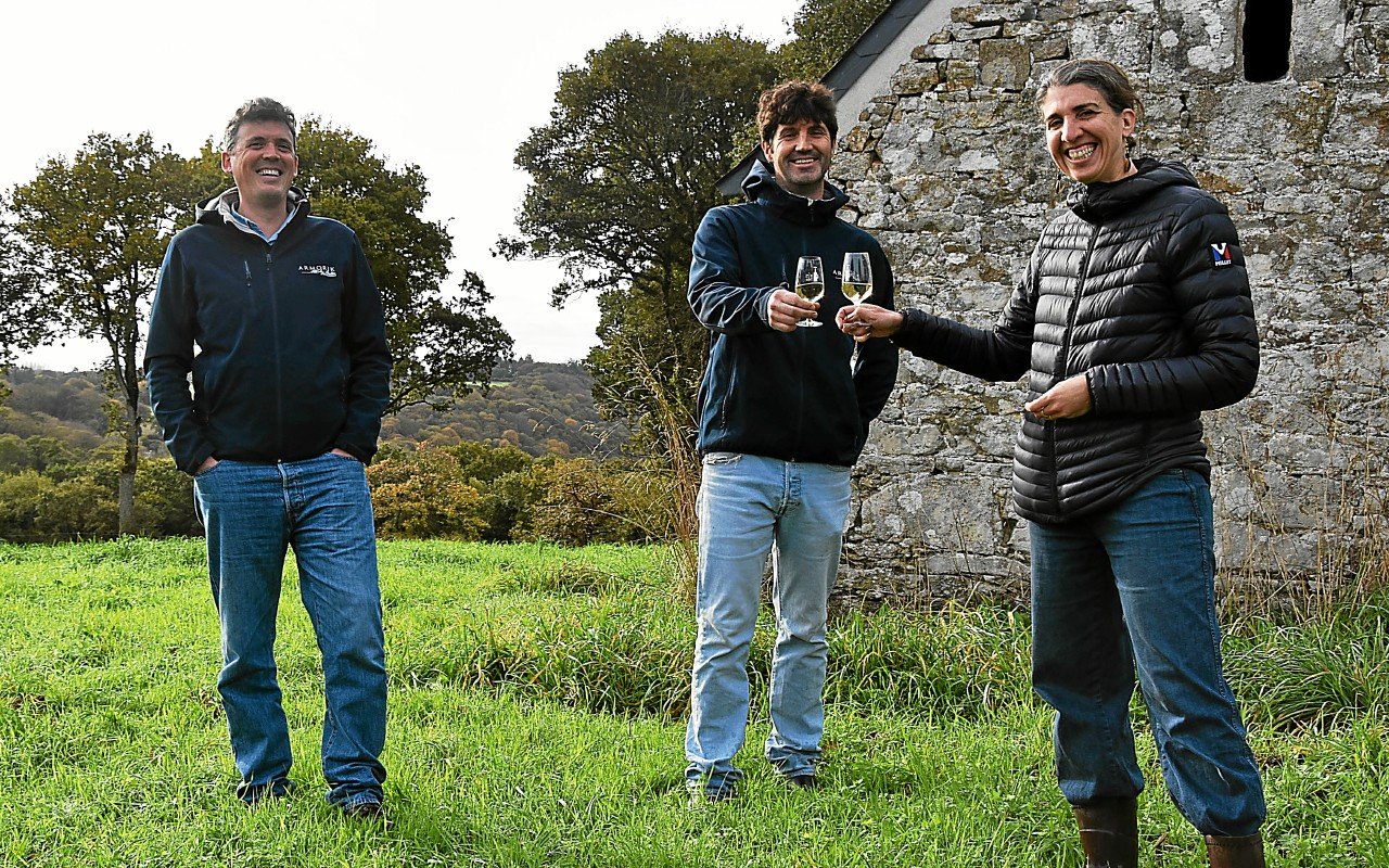 À Tonquédec, la distillerie Warenghem pose un pied dans l’aventure du vin breton