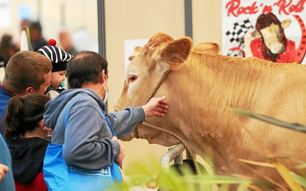 « Une difficile décision » : l’édition 2025 du salon Ohhh la vache annulée à Pontivy