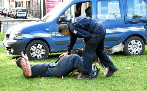 Enquêteur cyber, chien de piste, parcours sportif : à Saint-Brieuc, la gendarmerie organise ses grandes portes ouvertes