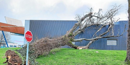 Tempête Mathis en Bretagne : rafales de 146 km/h, 8 500 foyers privés d’électricité, chutes d’arbres…