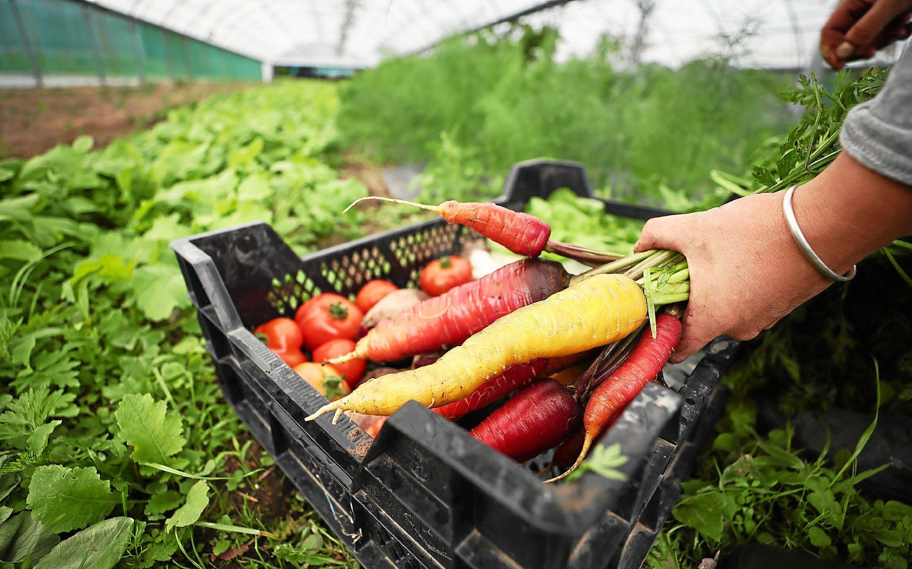 Crédit d’impôt du bio, exonérations, charges allégées… Des amendements attendus par les agriculteurs ont été votés par les députés