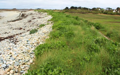 Dans les Côtes-d’Armor, ces 50 hectares de marais risquent l’inondation
