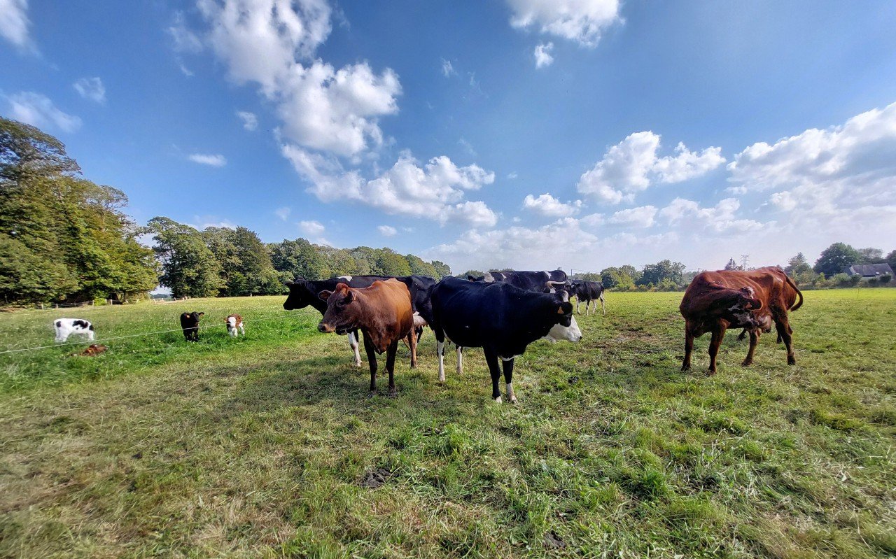 « Je vois bien que la mise en pratique n’est pas simple » : la décarbonation de l’agriculture est un enjeu majeur en Bretagne