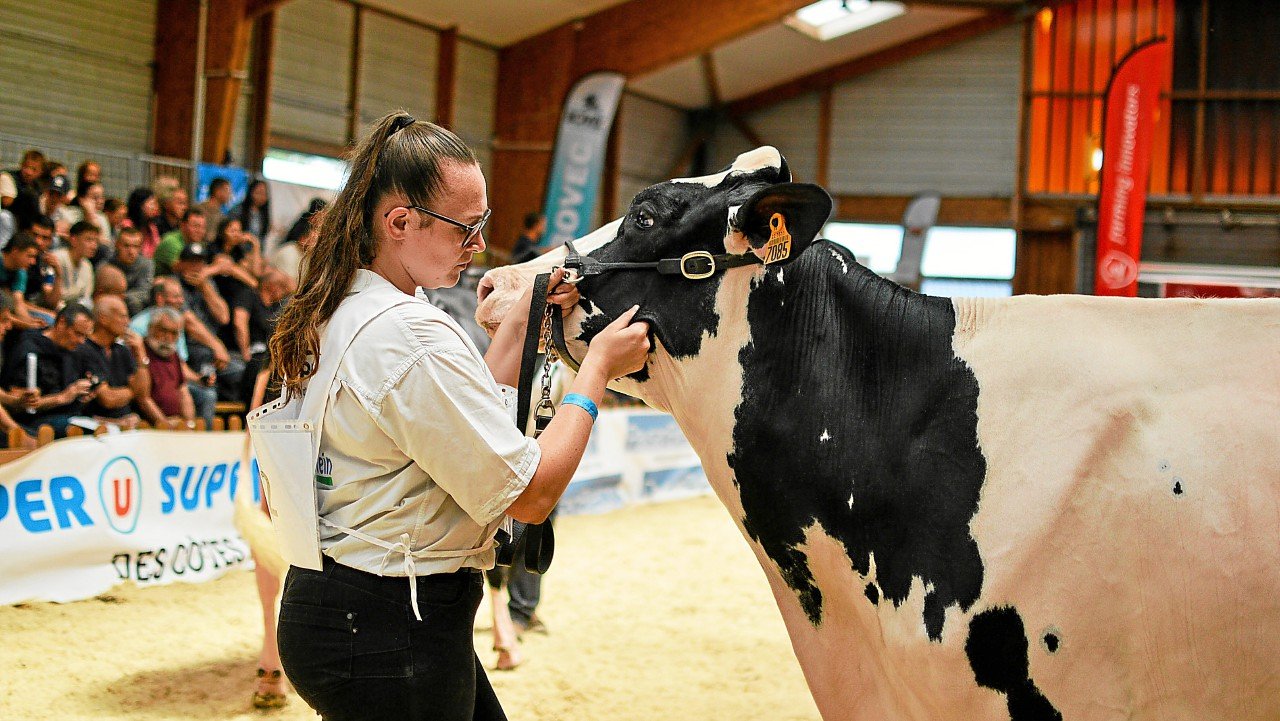 Au salon de l’agriculture des Côtes-d’Armor, les bovins font tourner les têtes de 10 000 visiteurs [en images]