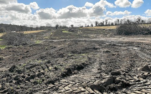« 150 km de haies arrachées en dix ans » : Eau et rivières suivra le cas de Loguivy-Plougras