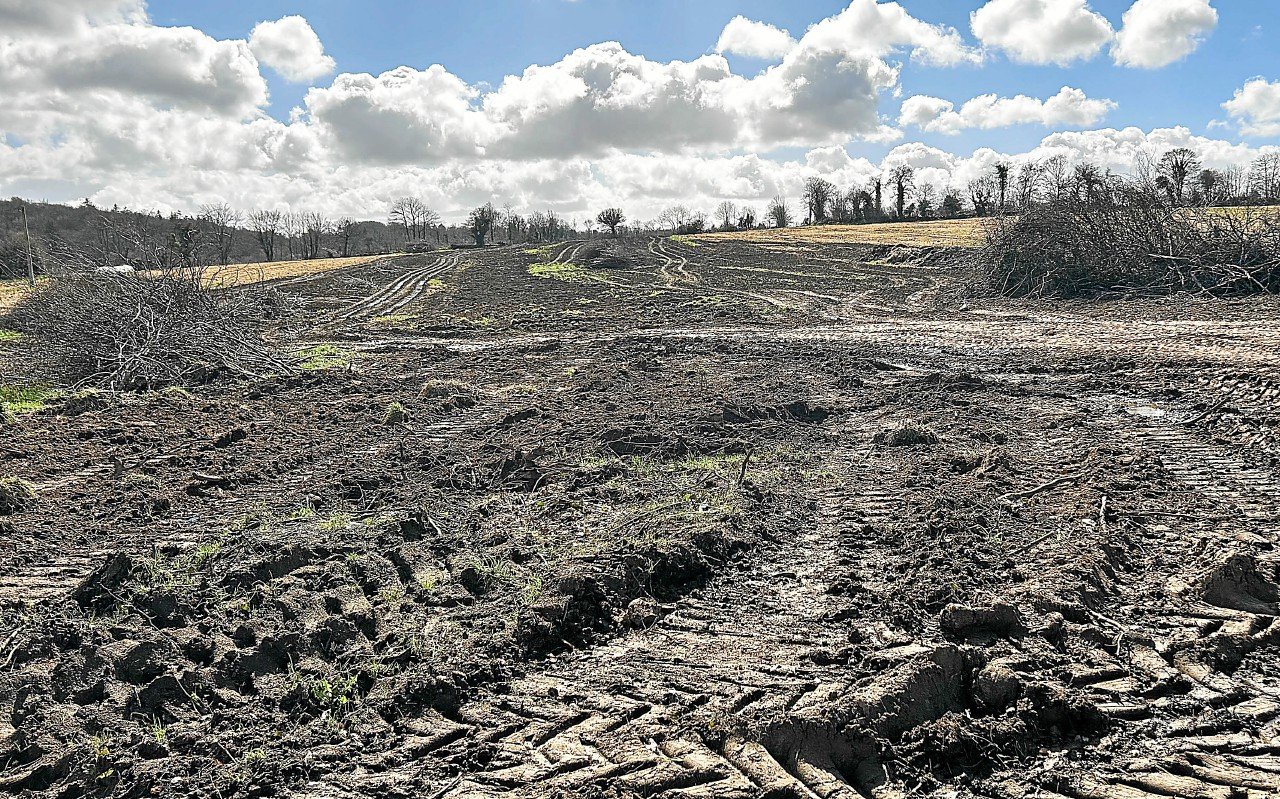 « 150 km de haies arrachées en dix ans » : Eau et rivières suivra le cas de Loguivy-Plougras