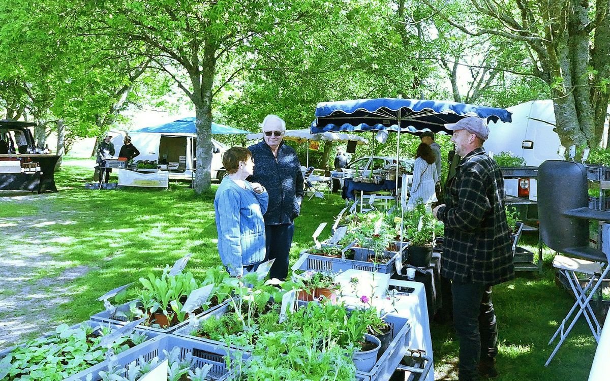 À Guengat, coup d’envoi d’un nouveau marché de commerçants locaux