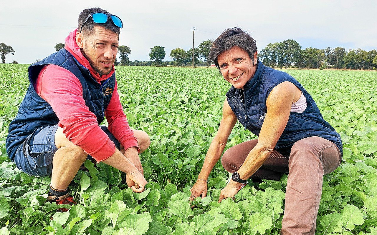 Comment ces agriculteurs bretons sont parvenus à réduire l’usage des pesticides