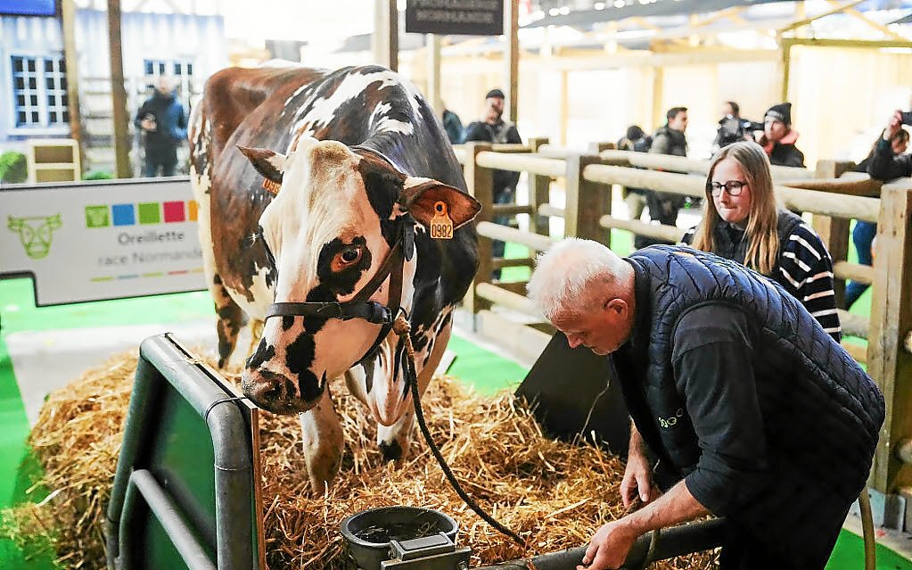 « Un coup dur » : pour la première fois, il n’y aura aucun bovin au Salon de l’agriculture