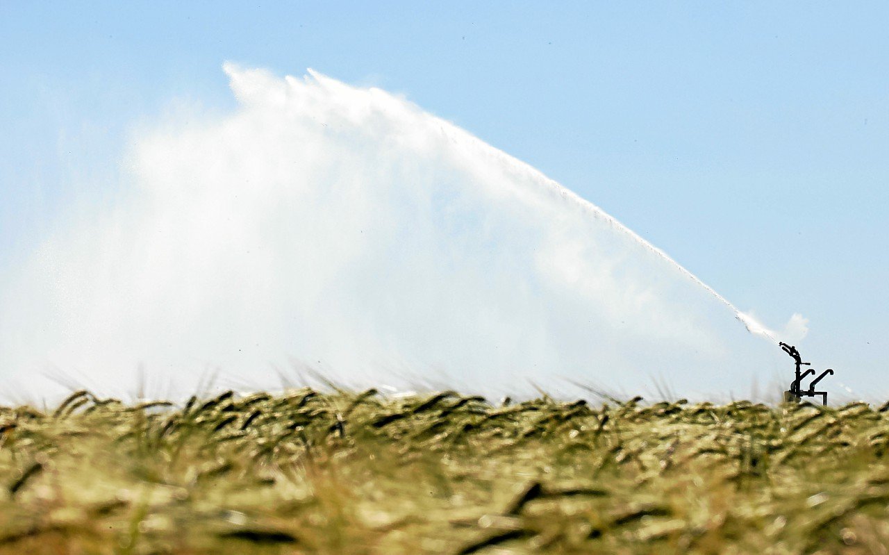 Réchauffement climatique : les rendements agricoles vont chuter de 11 à 24 % d’ici à 2100, selon une étude