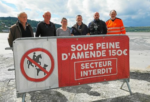 Plage interdite aux chiens et chevaux à Saint-Michel : « Si tous les propriétaires étaient respectueux... »