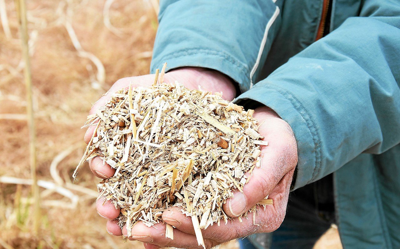 Agriculture bio : nouvelle baisse des surfaces cultivées en 2024 mais légère reprise de la consommation