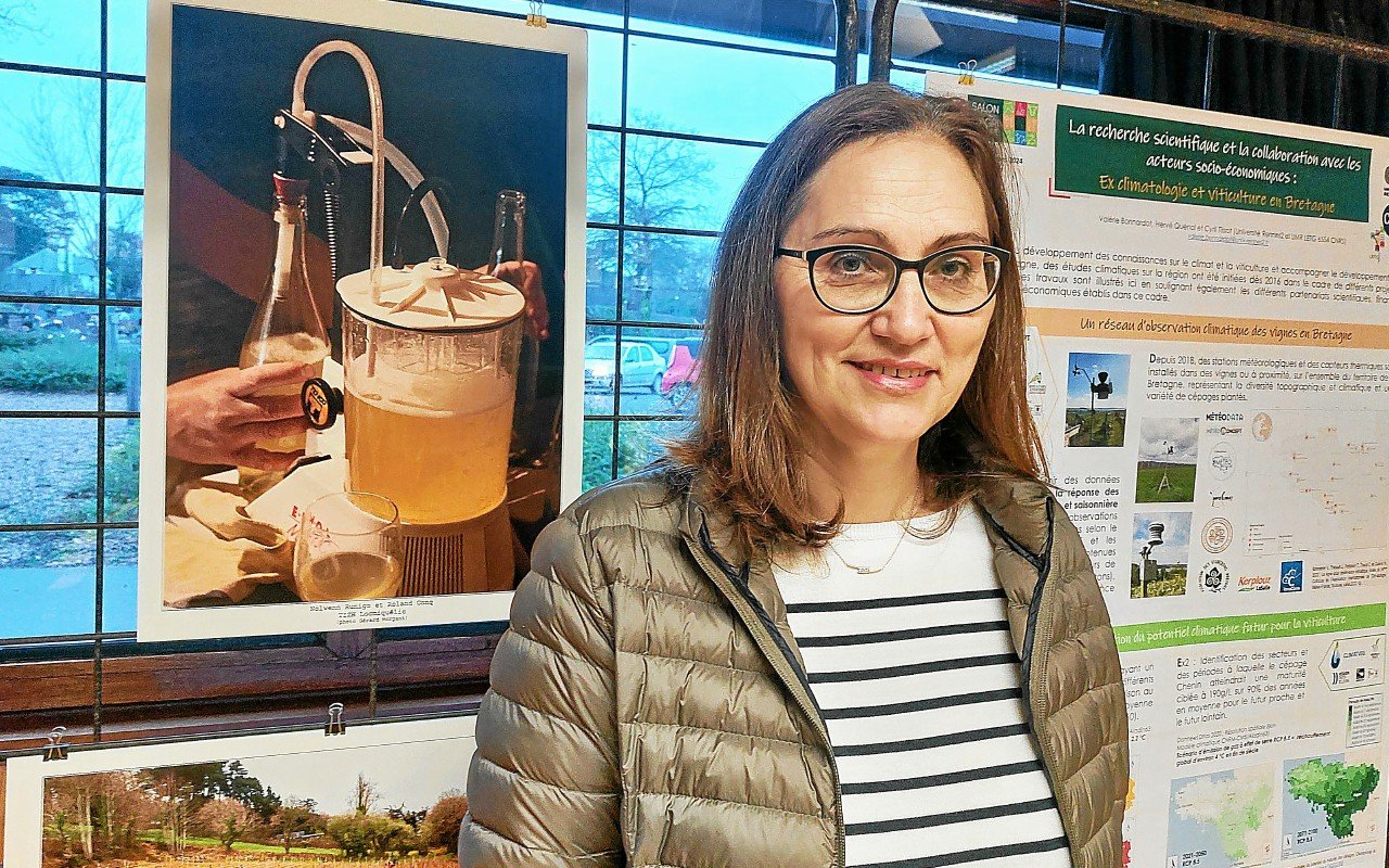 « Il y a de la vigne cultivée jusque dans le nord de la Bretagne » : cette climatologue voit un avenir pour le vin breton