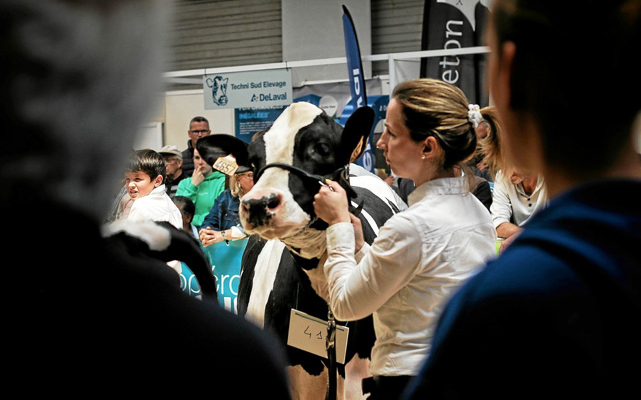 « Tout le monde ne peut pas aller à Paris » : le Salon de l’agriculture des Côtes-d’Armor se tiendra les 14 et 15 juin