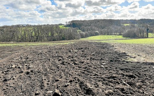 Talus rasés sans autorisation près de Lannion : les agriculteurs s’engagent à réparer