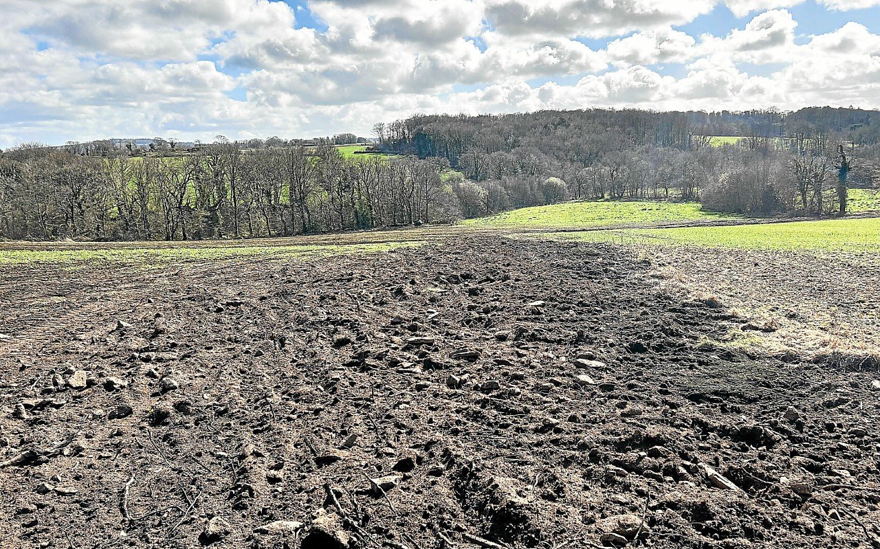 Talus rasés sans autorisation près de Lannion : les agriculteurs s’engagent à réparer
