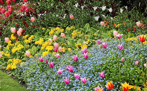 Comment composer rapidement un massif fleuri au jardin