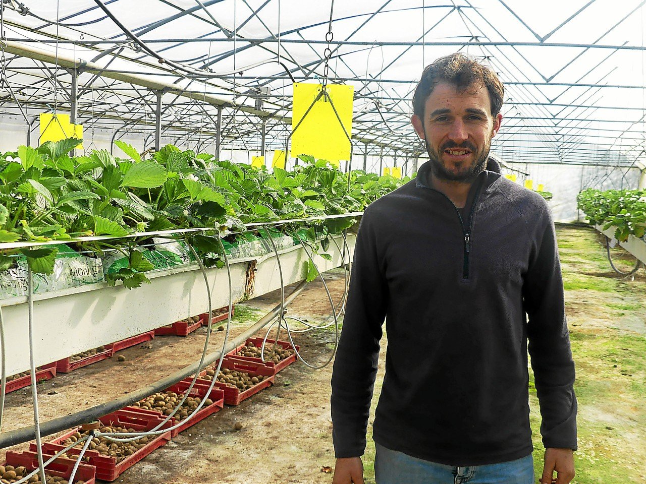 Le festival Agri Deiz revient à Quimper le samedi 15 et dimanche 16 mars pour sa dixième édition