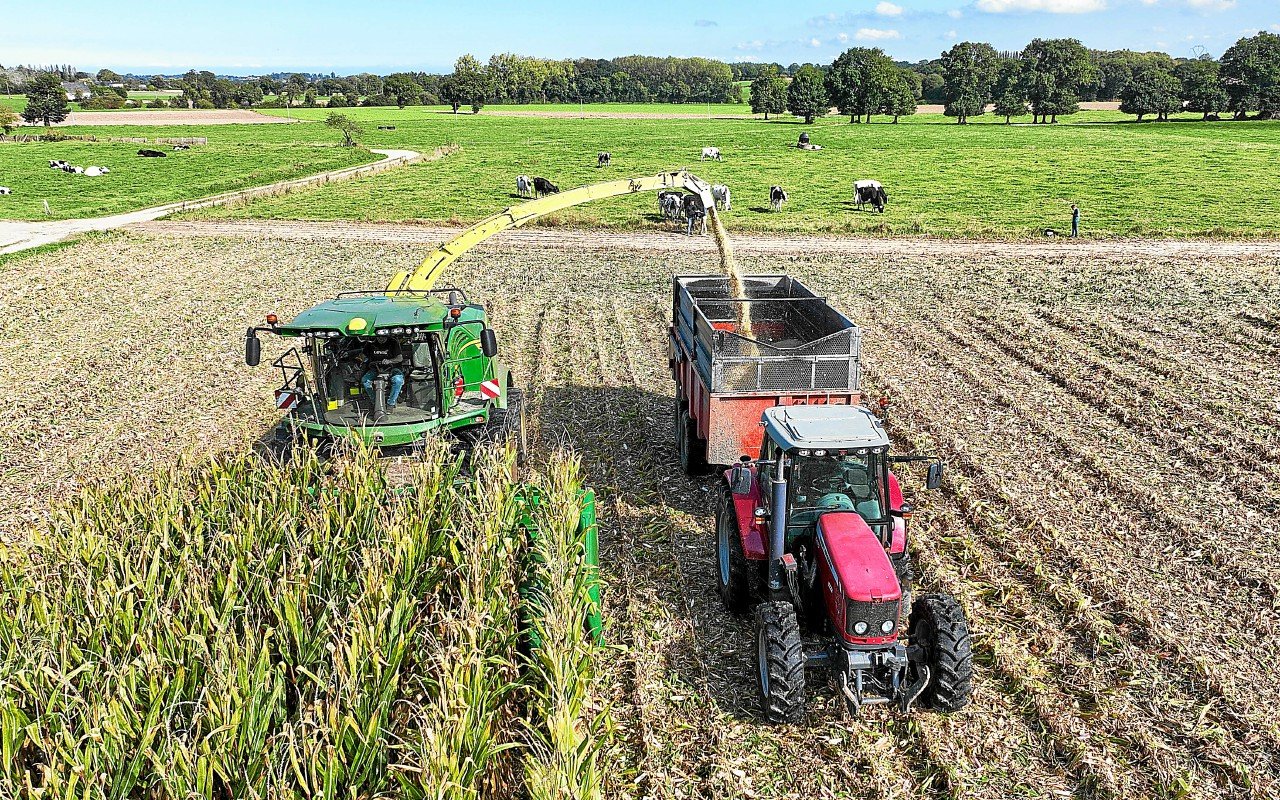 « Cette technologie permettra de cultiver des plantes résistantes au changement climatique » : une nouvelle génération d’OGM approuvée par l’UE