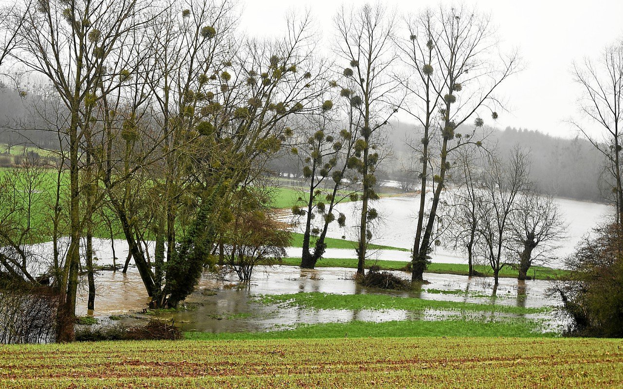 « Dès que l’eau rentre, ça pose des difficultés majeures » : en Ille-et-Vilaine, les agriculteurs subissent de plein fouet les inondations