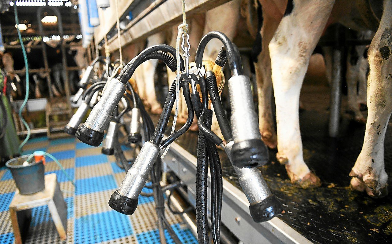 « Vous trouvez de l’eau plus chère que le lait, c’est inadmissible » : à Pontivy, les agriculteurs ont mené une action coup de poing au magasin Lidl