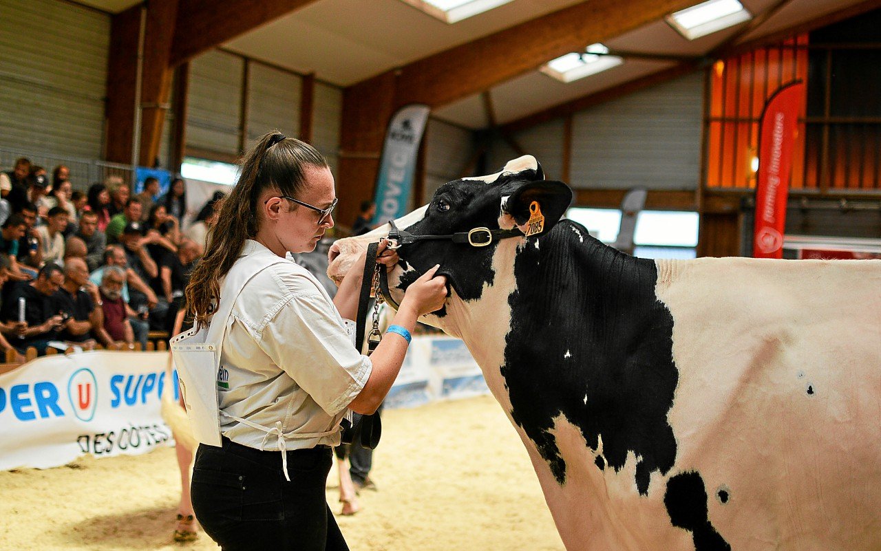Les concours sont lancés, le salon de l’agriculture se poursuit ce dimanche à Loudéac