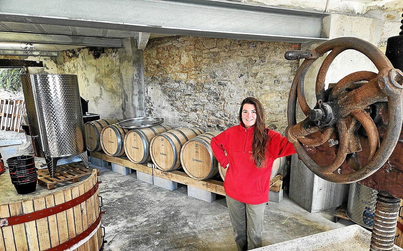 « Je me suis toujours dit que je ferai du vin en Bretagne un jour » : cette sommelière se reconvertit dans les vignes à Saint-Nic