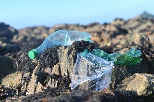 Pollution plastique : il y a urgence !