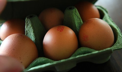 Salmonelles : plusieurs boîtes d’œufs rappelées par Leclerc et d’autres enseignes